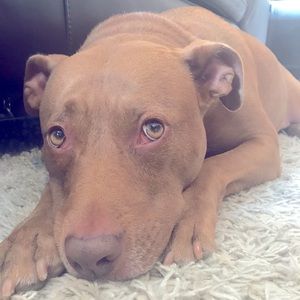 Meet your Posher, Claudia